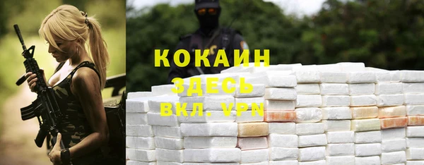 2c-b Каменка