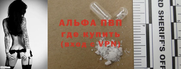 индика Каменск-Шахтинский