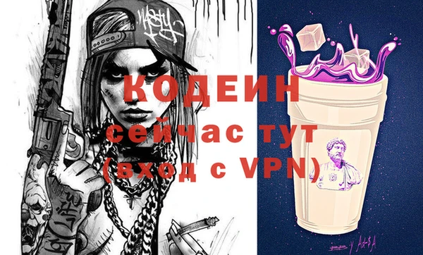 2c-b Каменка