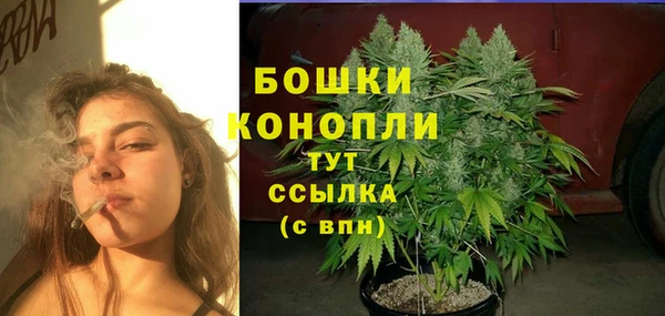 индика Каменск-Шахтинский
