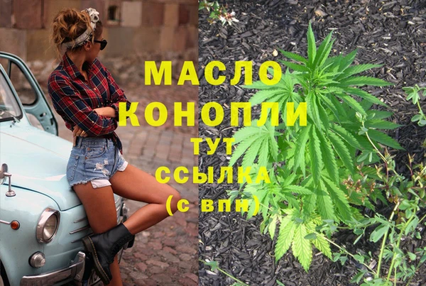 2c-b Каменка