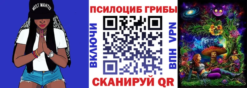 Галлюциногенные грибы MAGIC MUSHROOMS  Каменка 