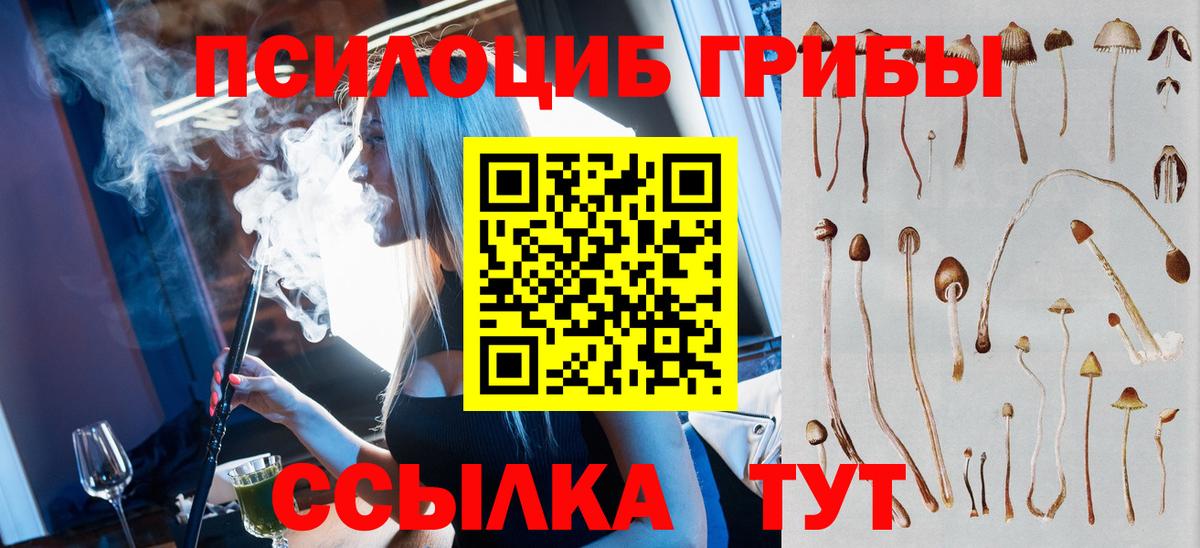 Псилоцибиновые грибы прущие грибы  Вход с VPN  Каменка 